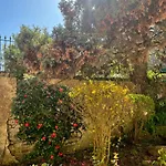 Le Petit Paradis *
